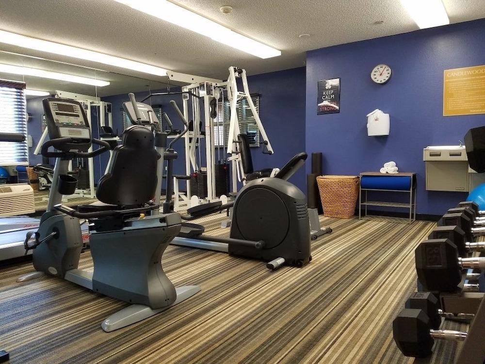 Sonesta Simply Suites Boston برينتري المظهر الخارجي الصورة