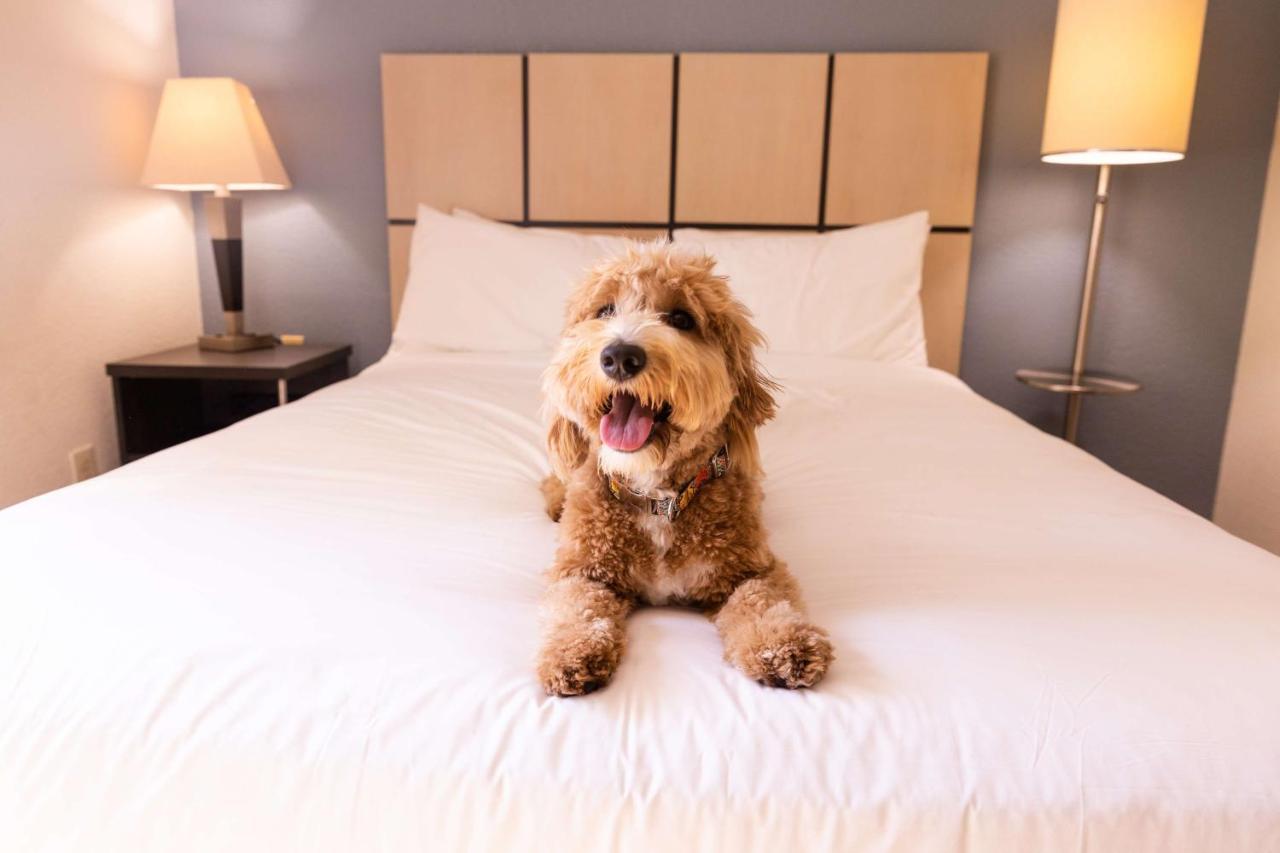 Sonesta Simply Suites Boston برينتري المظهر الخارجي الصورة